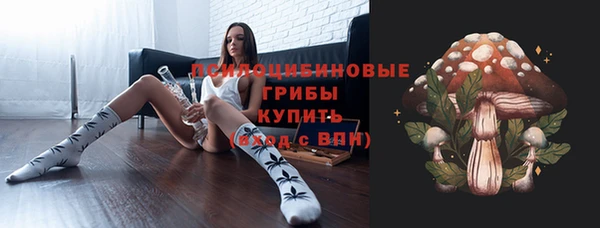 мет Протвино