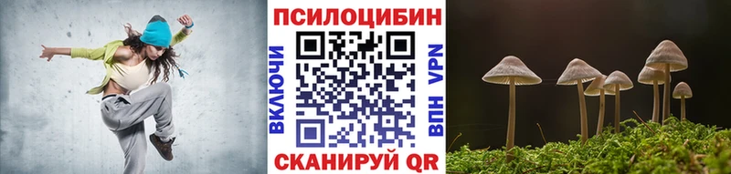 наркошоп  Козловка  Галлюциногенные грибы прущие грибы 